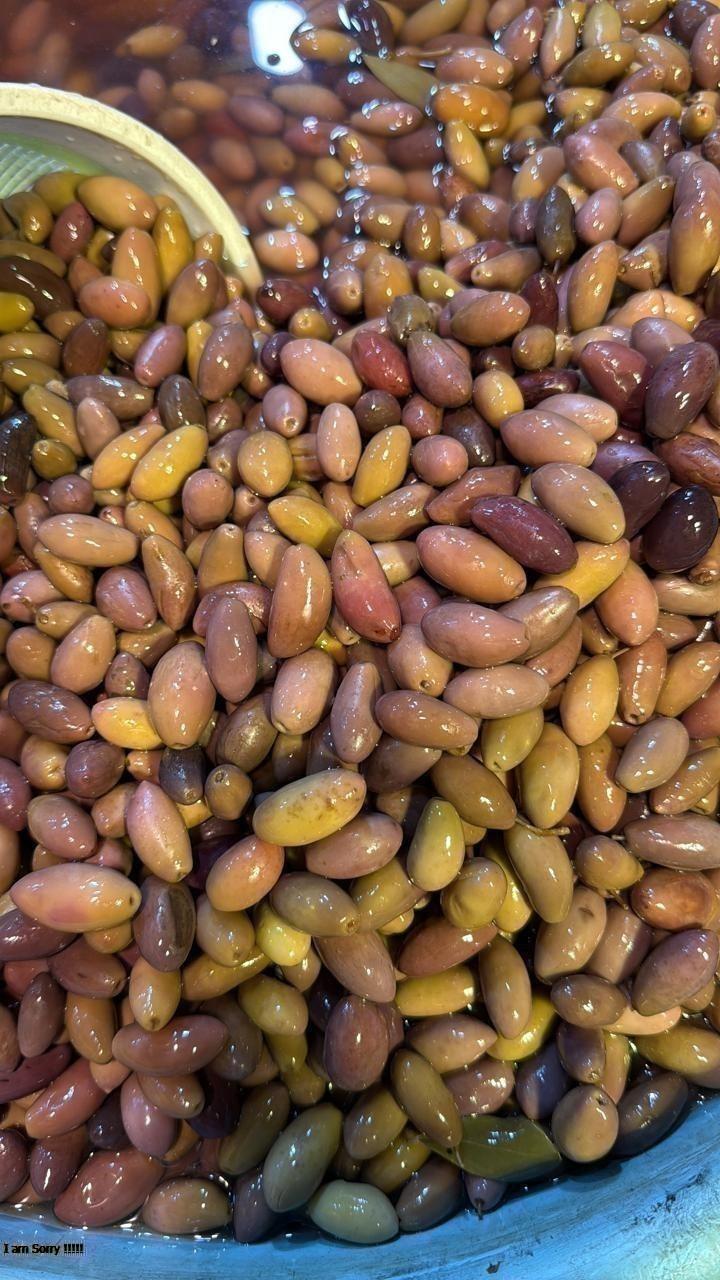 زيتون دولسي وسط