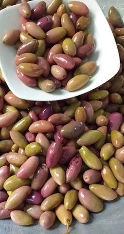 زيتون دولسي جامبو